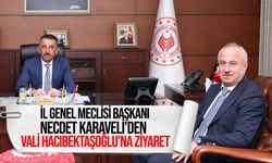 İl Genel Meclisi Başkanı Necdet Karaveli’den Vali Hacıbektaşoğlu’na ziyaret