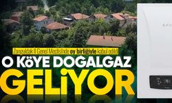İl Genel Meclisi'nde karar verildi: O köye doğalgaz geliyor