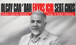 Olcay Can’dan Filyos için sert çıkış: Devletin malını kim denetliyor?
