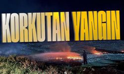 Sahilde korkutan yangın: Ekipler seferber oldu