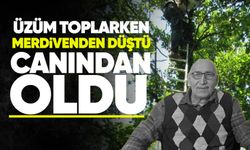Üzüm toplarken merdivenden düştü: 77 yaşında hayatını kaybetti