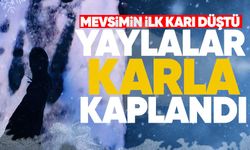 Yaylalar karla kaplandı: İlk kar heyecanı