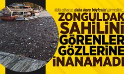 Zonguldak sahili çöplüğe döndü: Görenler gözlerine inanamadı