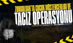 Zonguldak'ta çocuk t*cizi, bahis ve nitelikli dolandırıcılık operasyonu: 75 kişi tutuklandı