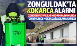 Zonguldak’ta kahverengi kokarcaya karşı mücadele sürüyor