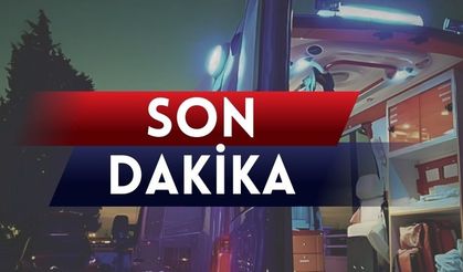 Fındık Toplamaya Gelen İşçi Kazada Hayatını Kaybetti