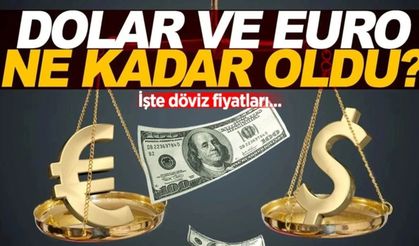 Dolar/Euro bugün ne kadar? (20 Kasım 2024 dolar - Euro fiyatları)