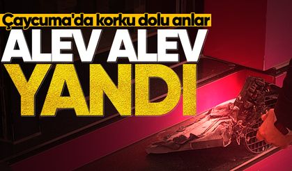 Çaycuma'da korku dolu anlar: Alev alev yandı!