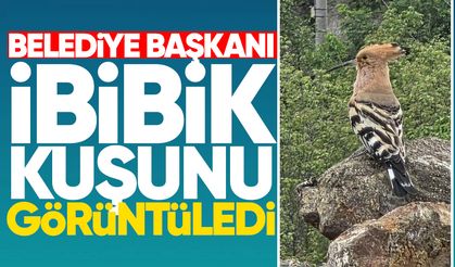 Belediye başkanı ibibik kuşunu görüntüledi