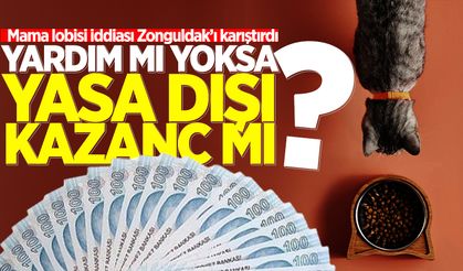 Zonguldak alarmda! “Hayvanseverlik” kılıfıyla kurulan rant düzeni iddiası...