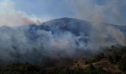 Düzce’de orman yangını korkuttu: 277 kişiyle dört saatlik mücadele