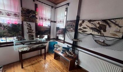 Akçakoca Sualtı Dünyası’na Ziyaretçi Akını