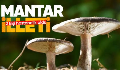 Mantar yiyen 2 kişi hastanelik oldu