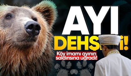 Ayı dehşeti: Köy imamı ayının saldırısına uğradı!