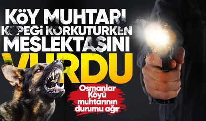 Köy muhtarı meslektaşını vurdu: Hastanede yaşam savaşı veriyor!
