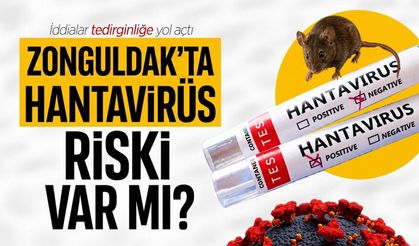 Zonguldak'ta "Hantavirüs" riski var mı?