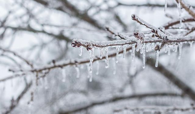 Meteoroloji sarı kodlu  uyarı yaptı