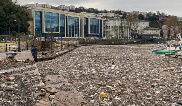 “Yaralarımızı hep birlikte saracağız”