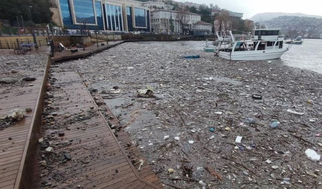 Derelerden gelen molozlar limanı çöple doldurdu