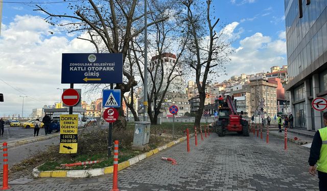 Ağaç budama çalışması yapıldı! Yol trafiğe kapatıldı