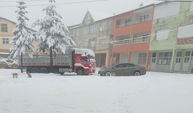 Kar yağışı kartpostallık görüntüler oluşturdu