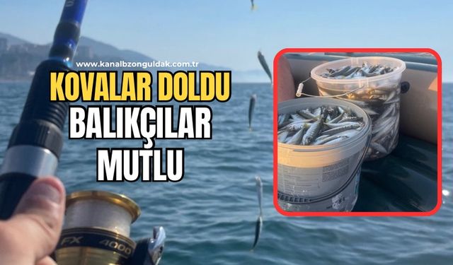 İstavrit bolluğu balıkçıları sevindirdi