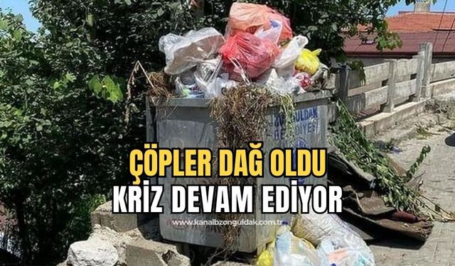 Karaelmas mahallesinde 3 gündür çöpler toplanmıyor