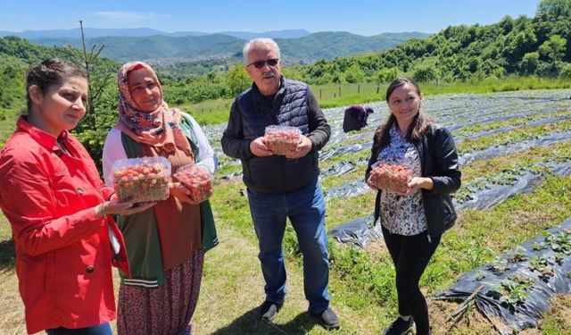 Zonguldak, Karabük ve Bartın'dan 7 ürün Slow Food'un Ark of Taste Ağı'na girdi