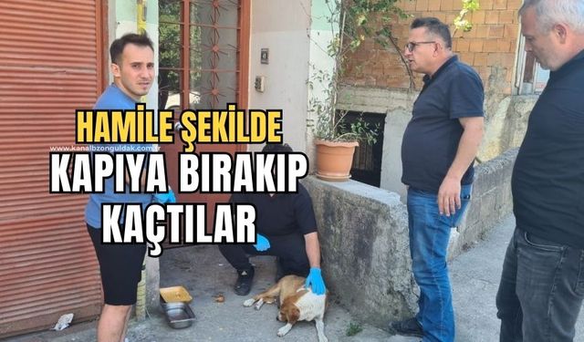 Tanımadıkları evin önüne terk edip kaçtılar