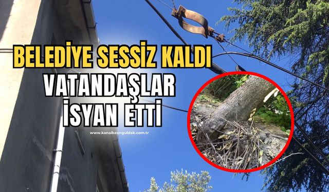 Vatandaşlar isyan etti: Belediye 6 aydır umursamıyor!