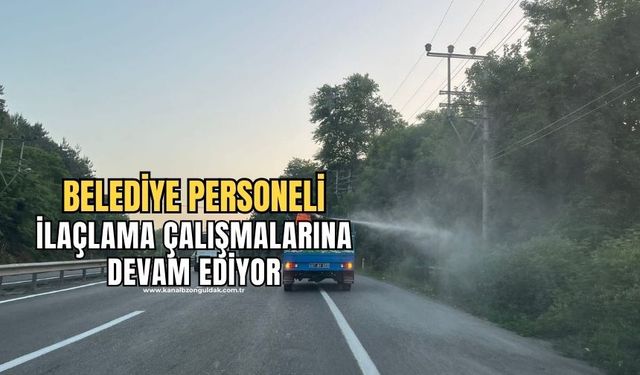 Belediye personeli haşerelere karşı ilaçlama çalışmasına devam ediyor