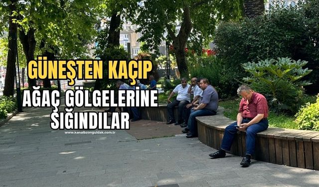 Sıcaktan bunaldılar! Ağaç gölgelerinde serinlediler