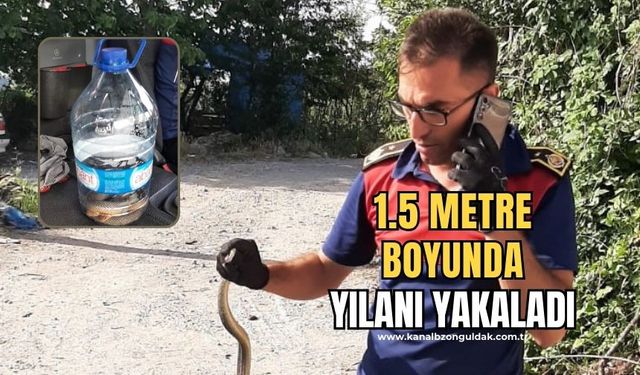 İş yerine giren yılanı itfaiye ekipleri yakalayıp doğaya saldı