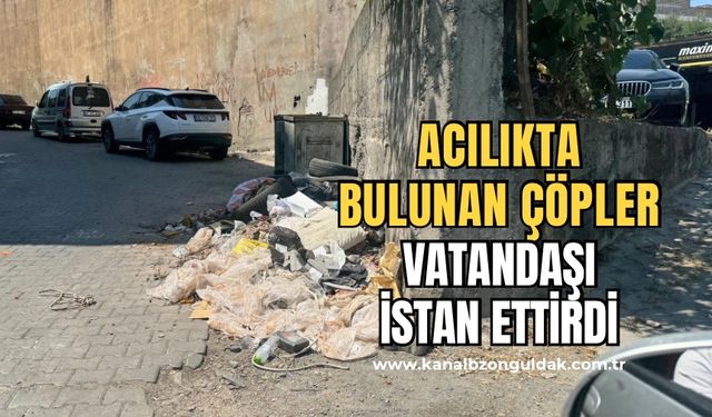 Zonguldak’ta çöp sorunu devam ediyor