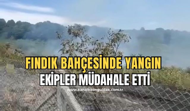 Alaplı'da Fındık Bahçesinde Yangın