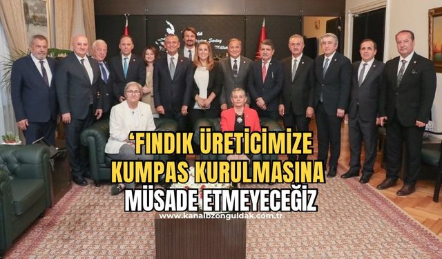 CHP Milletvekili Eylem Ertuğrul fındık fiyatları hakkında açıklamalarda bulundu