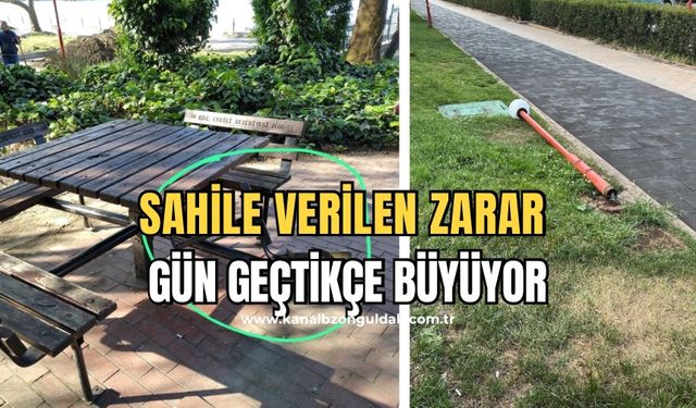 Sahile insan eli ile verilen zararlar üzüyor