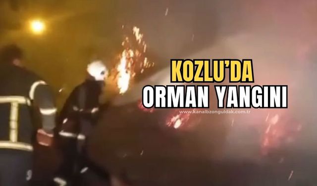 Kozlu'da çıkan yangına ekipler hızla müdahale etti