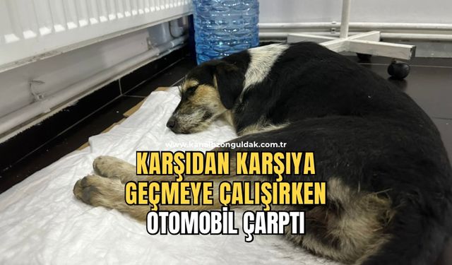 Otomobil çarpmıştı kalçası kırıldı!