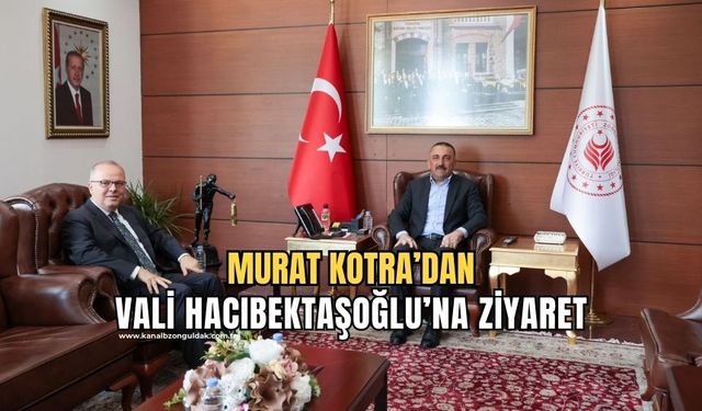 MYK Üyesi Murat Kotra'dan Vali Hacıbektaşoğlu'na ziyaret