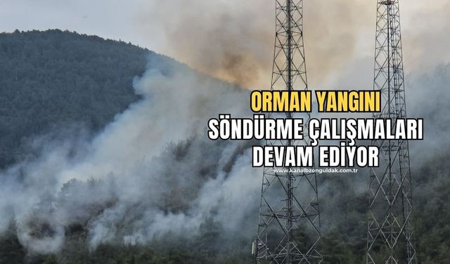 Orman yangınını söndürme çalışmaları karadan sürüyor