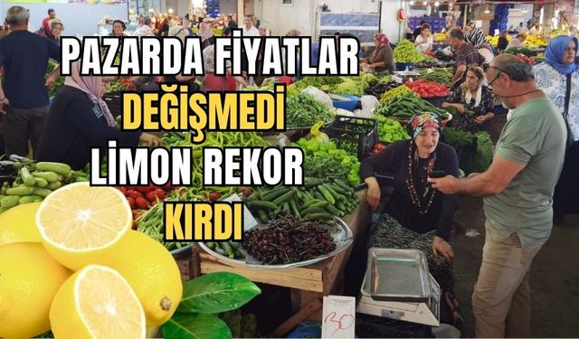 Halk pazarında fiyatlar sabit kaldı limon rekor kırdı!