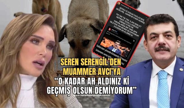 Ünlü sanatçı Seren Serengil, AK Parti Milletvekili Muammer Avcı'ya: "O kadar ah aldınız ki, geçmiş olsun dilemiyorum"