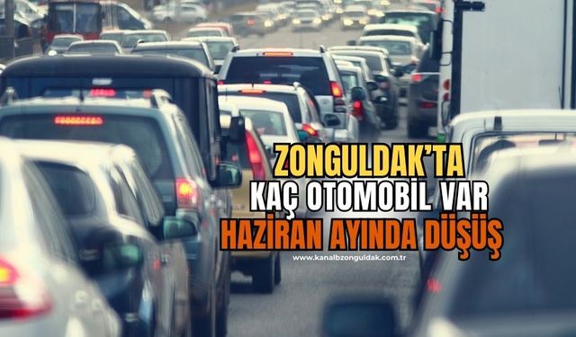 Zonguldak'ta ki araç sayısı belli olurken büyük düşüş yaşandı!