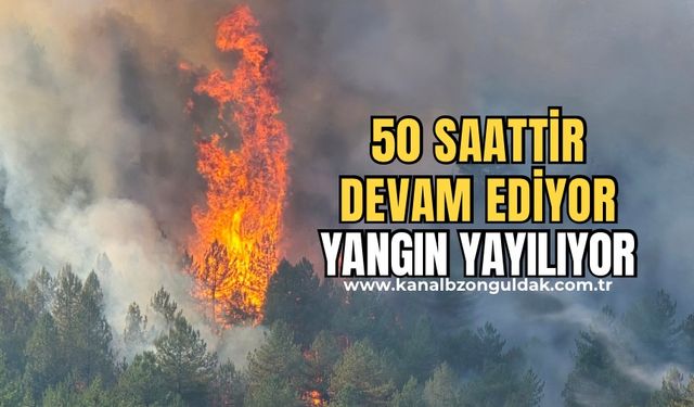 Yangın devam ediyor