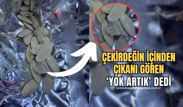 Kabak çekirdeğinin içinden çıkan şaşırttı