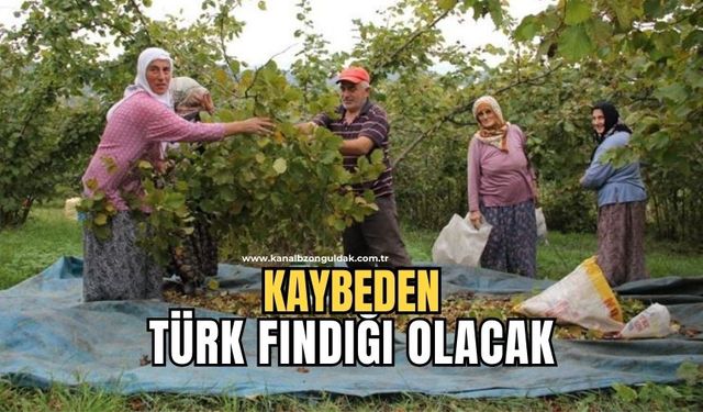 Fındık fiyatları güncellenmelidir yoksa bu ihanettir!