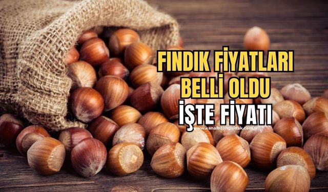 Kabuklu fındık alım fiyatları belirlendi