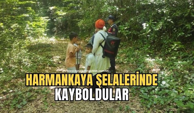 Harmankaya Şelalerinde yürüyüş yapan 5 kişi kayboldu