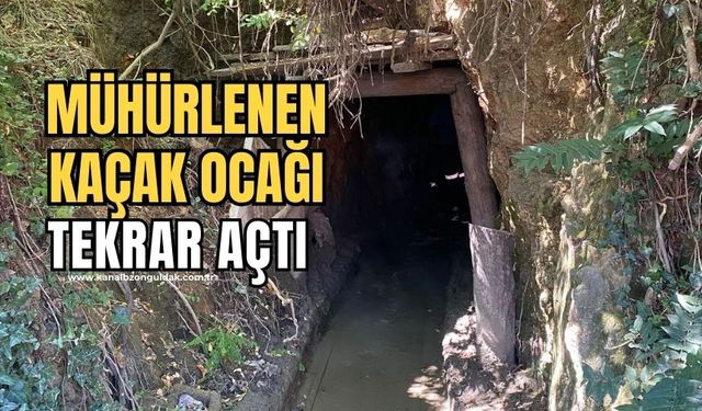 Ekipler Kaçak Ocaklara göz açtırmıyor:12 Kaçak ocak kapatıldı!